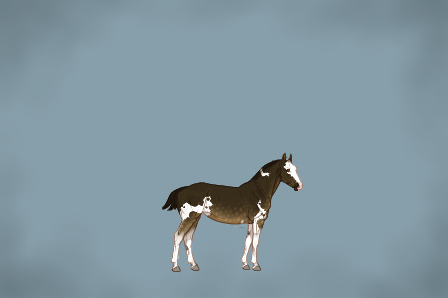 For Kaju