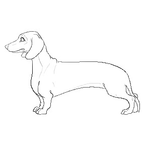 dachshund test
