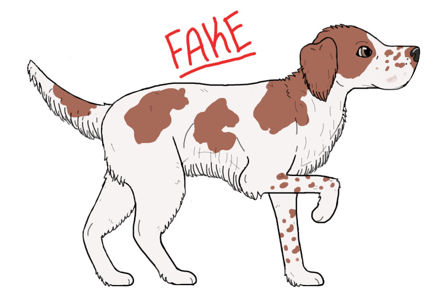 Artist Entry