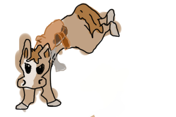 Honse?