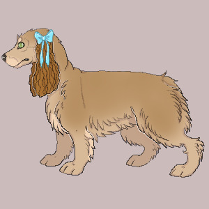 English Cocker Spaniel Pawxel