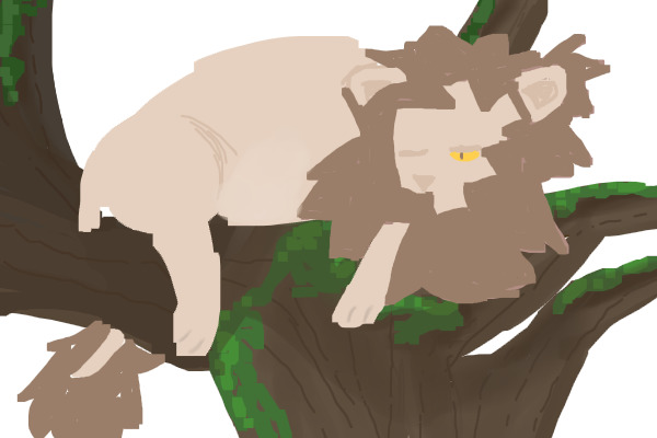 kitty cat