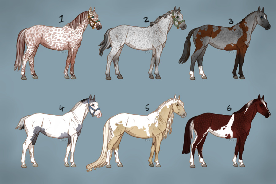 Free Horse Adopts