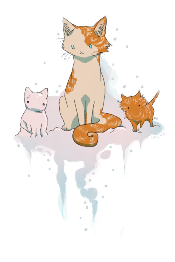 Snowkitten