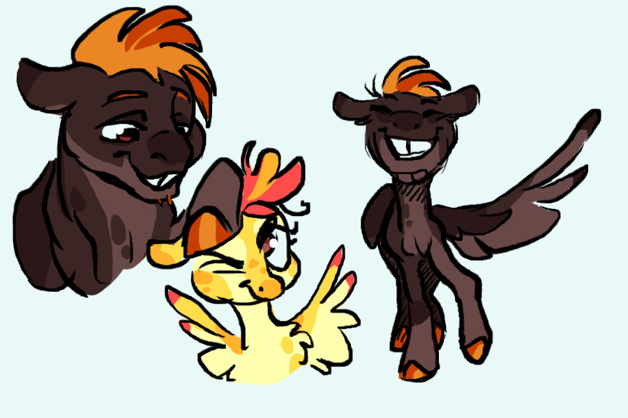 solar flare colt