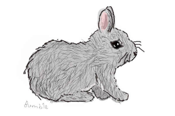 BUNNY!