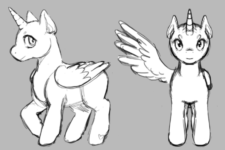 sssketch
