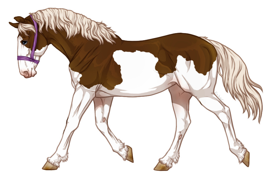 Range Trotter #5035