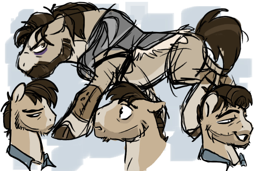 merrick pony