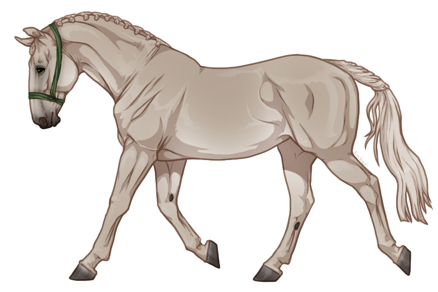 Range Trotter #F2611
