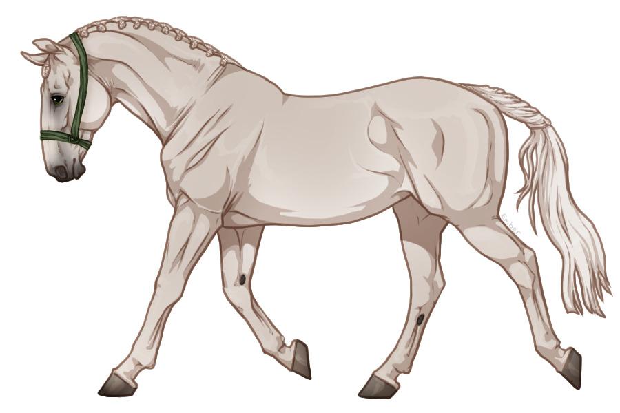 Range Trotter #F2612
