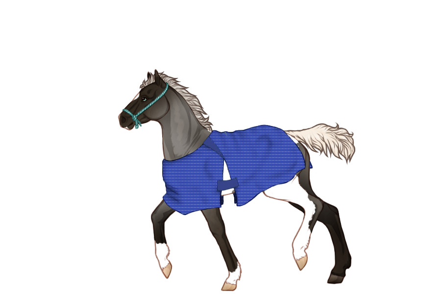 Foal Ref