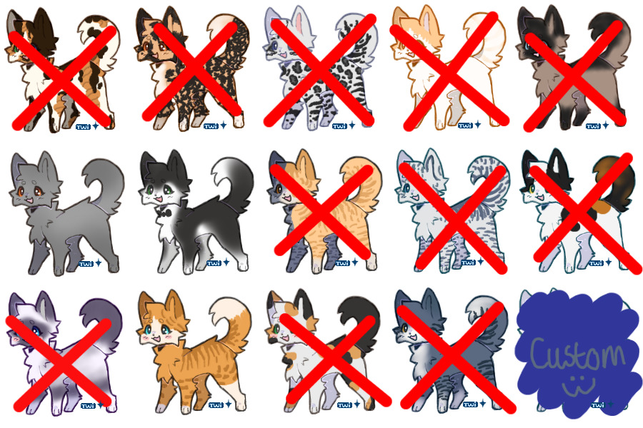 pwyw cat adopts, 4/15 open
