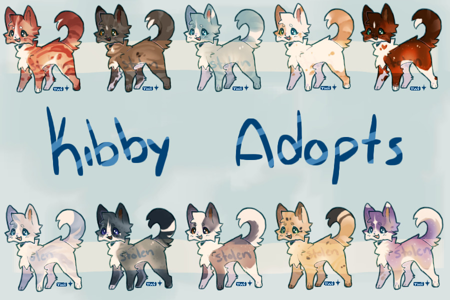 OPEN Cat Adopts 8/10