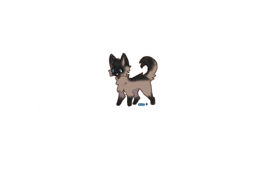 cat for canada