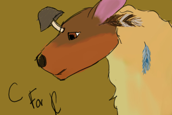 c4c For Wifflebee's
