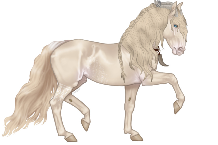 Roseto Capo Warmblood #470 - Import