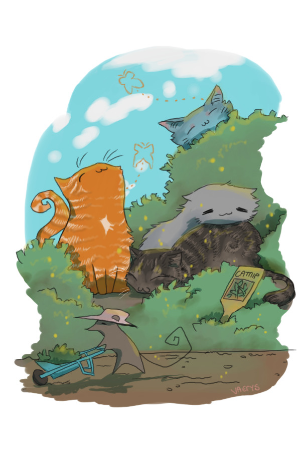 Catmint