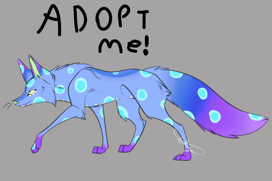 Fox adopt | CLOSED