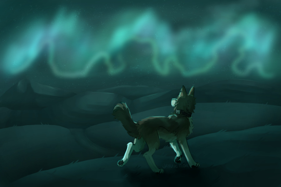 and everywhere you lead i will follow