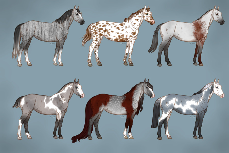 Horses