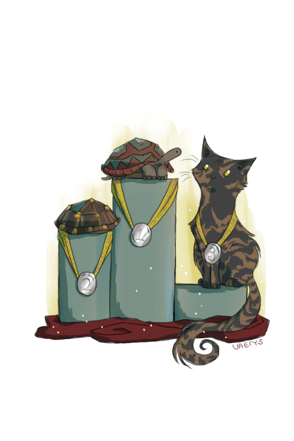 Tortoiseshell Competition