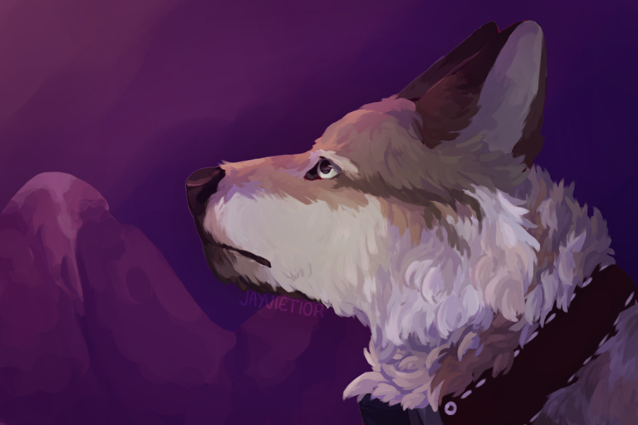 all of your thoughts split apart at the seams