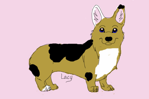 My New Fursona