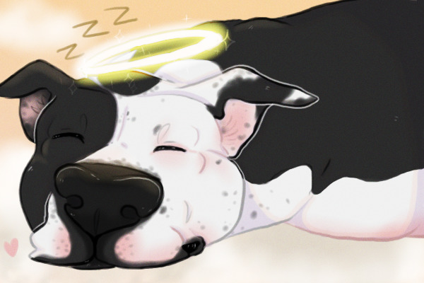Ode to my best boy