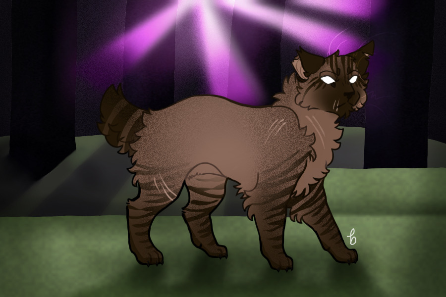 Stars MYO #1642 without items