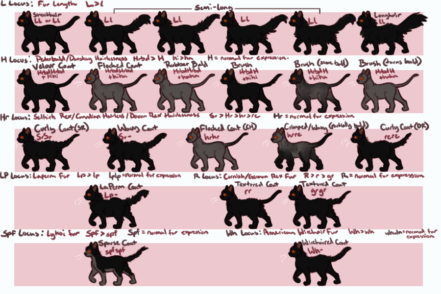 Trait Guide: Fur Variation