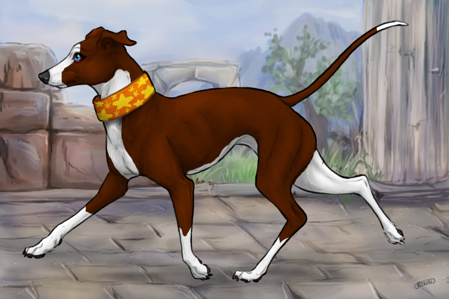 #00024 Chocolate Irish