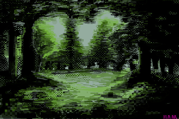 the clearing