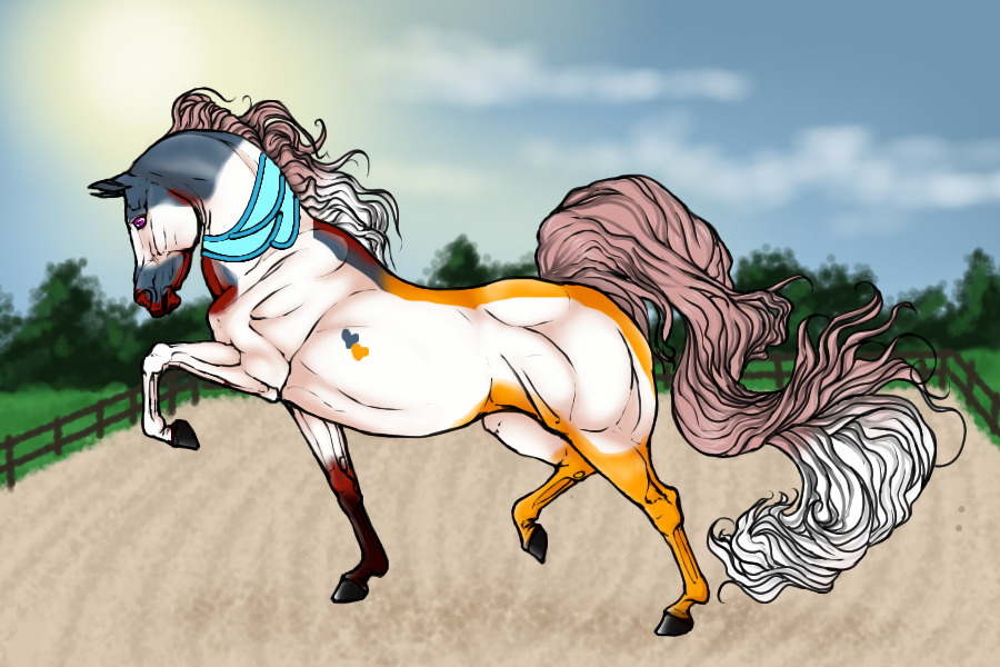 #00093 Palomino Blue Taffy Chimera Medicine Tobiano