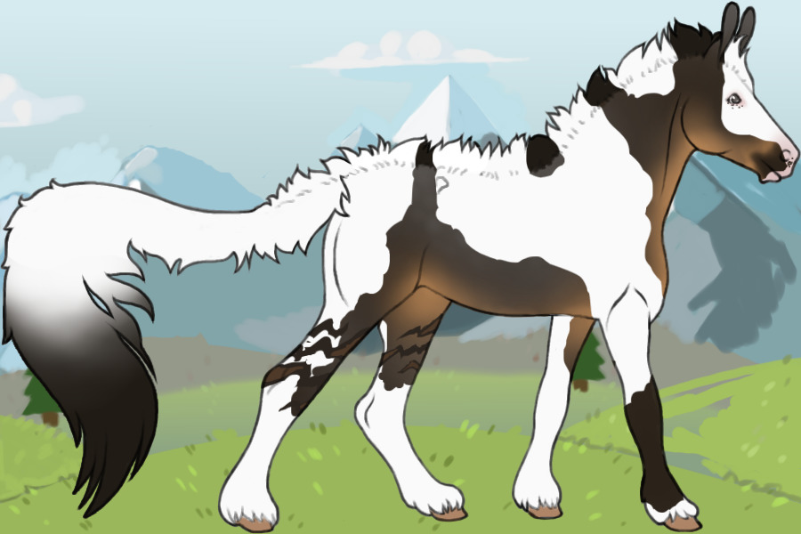 Aniase other side ref