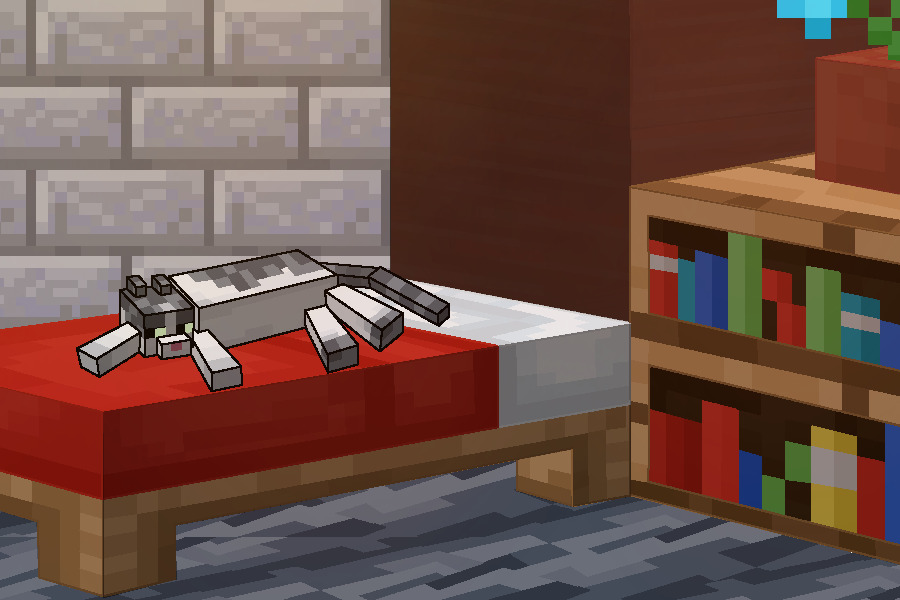 Kitty on the Bed