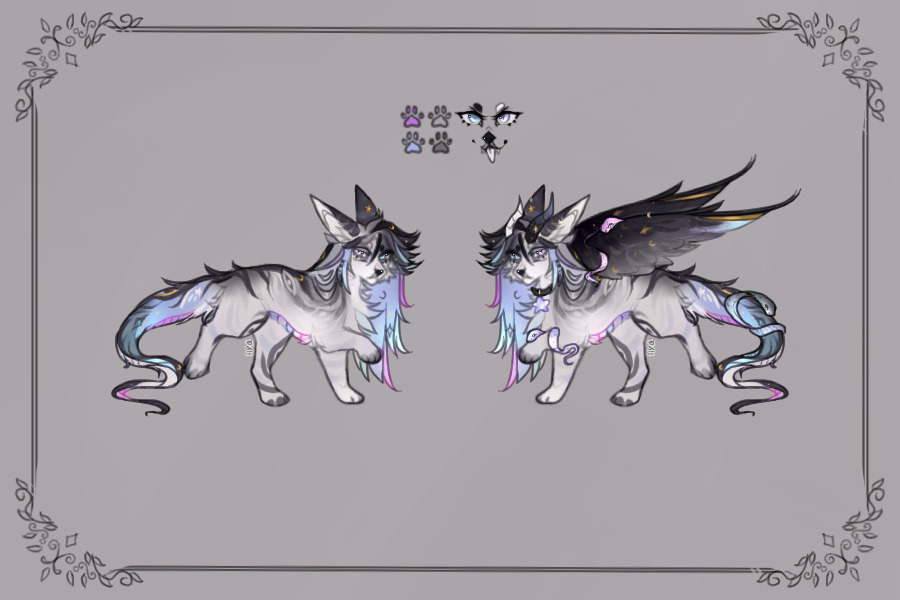 for Dogboss123