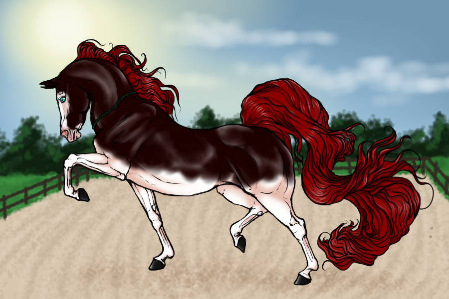 #00094 Liver Chestnut Splash Paint