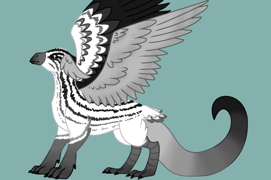 birb dragon