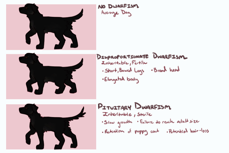 Trait Guide: Common Dwarfism