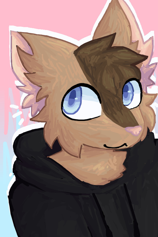 woof meow meow woof woof