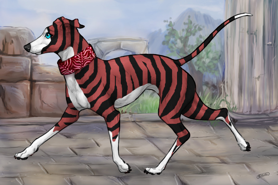 #00029 Red Fawn Irish With Brindle