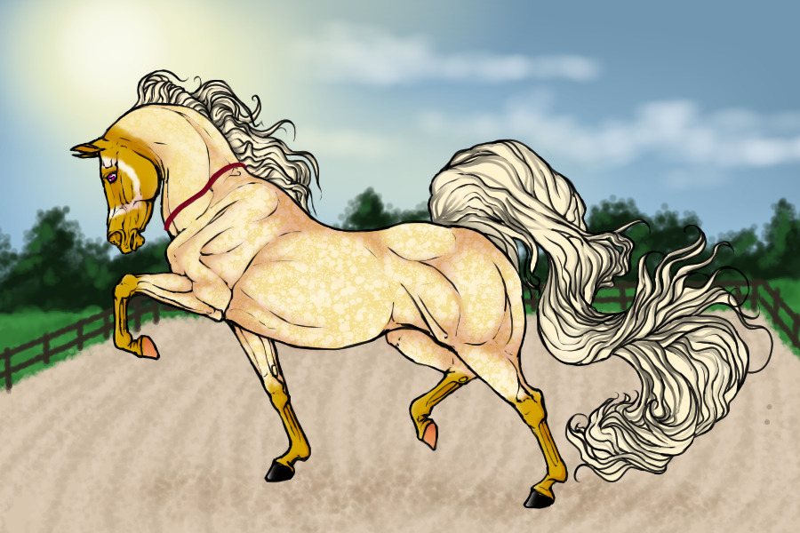 #00095 Dappled Palomino Roan With Badger Face