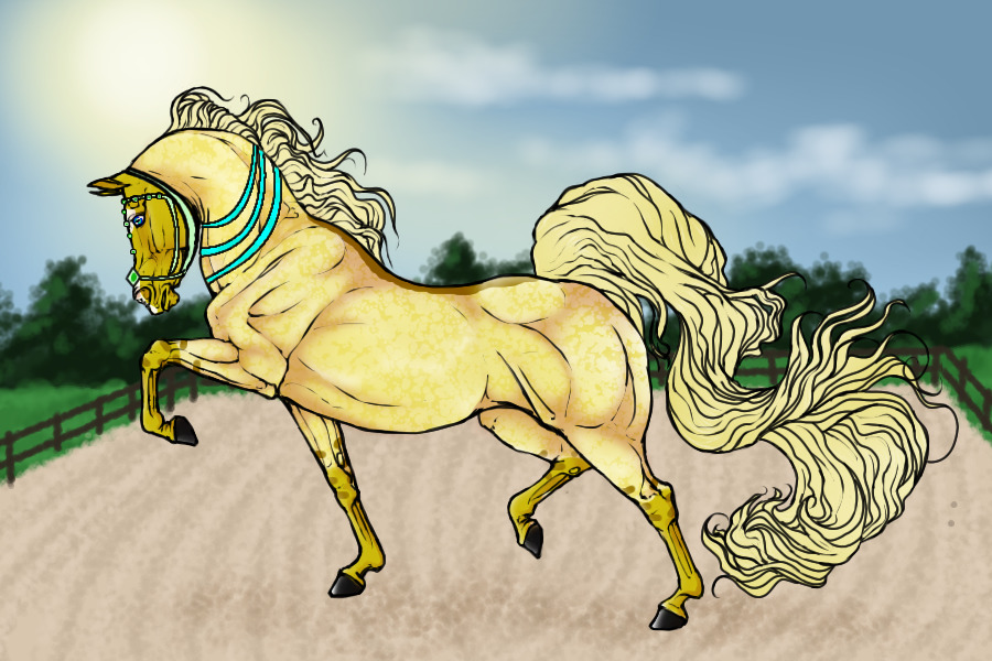 #00097 Dappled Dunalino Roan With Star And Snip