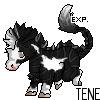tenebris