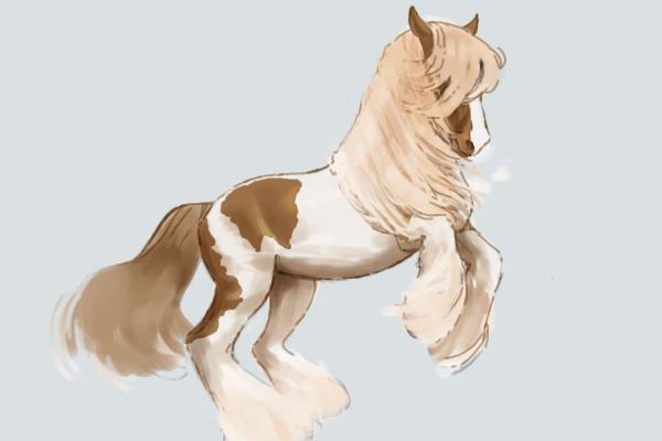 an exercise in horsie