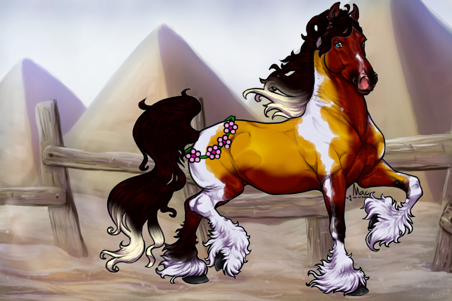 #0005 Blood Bay And Palomino Chimera