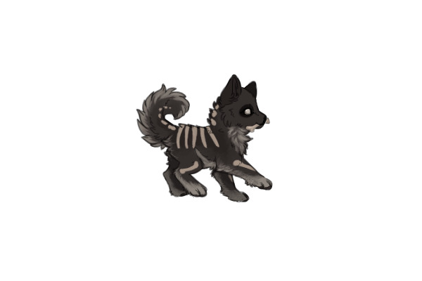 Auggie