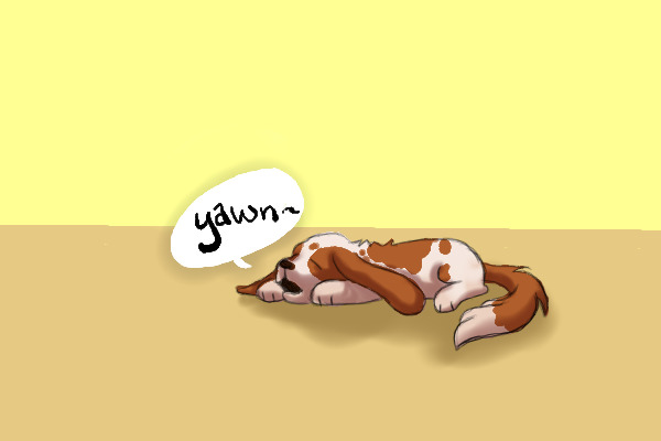 Basset Puppy