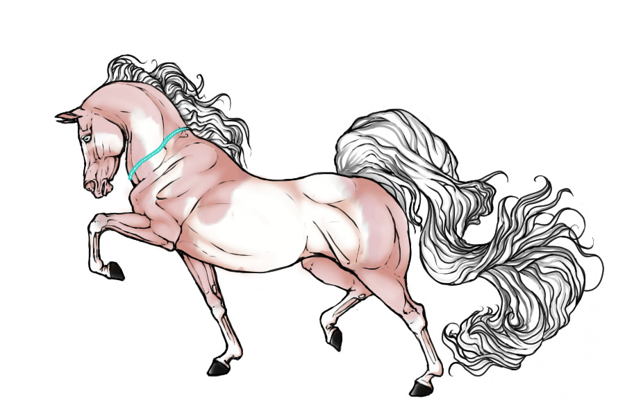 #0040 Perlino Pinto With Unique Facial And Stockings